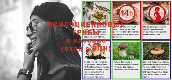 apvp Алексин
