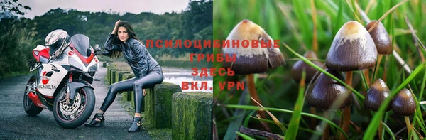 синтетический гашиш Алексеевка