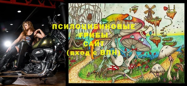 ешки Абдулино