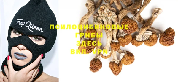 молекула духа Абаза