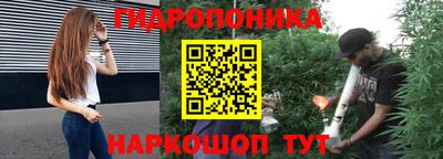 шишки Дубна