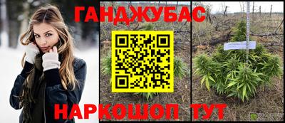 шишки Дубна