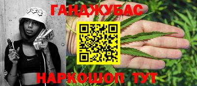 шишки Дубна