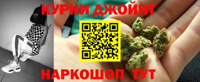 шишки Дубна
