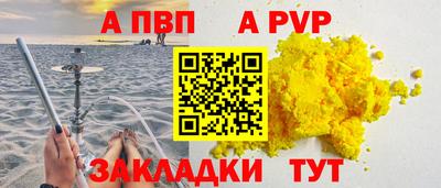 шишки Дубна