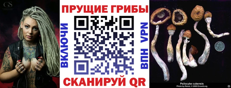 как найти закладки  Луга  сайты даркнета формула  Псилоцибиновые грибы GOLDEN TEACHER 